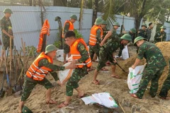 Cán bộ, chiến sĩ Trung đoàn 971, Bộ Chỉ huy quân sự thành phố Đà Nẵng khắc phục sự cố kè biển ở An Bàng, thành phố Hội An bị sạt lở nghiêm trọng do ảnh hưởng của cơn bão số 12.