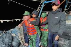 Đồn Biên phòng Cát Bà hỗ trợ thuyền viên bị nạn đưa đi cấp cứu.