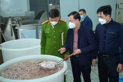 Đoàn kiểm tra liên ngành an toàn thực phẩm của thành phố Hà Nội kiểm tra điều kiện thực tế tại một công ty sản xuất chế biến thực phẩm đóng trên địa bàn Hà Nội. (Ảnh: THU TRANG)