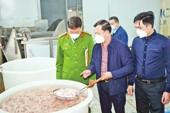 Kiểm tra công tác vệ sinh an toàn thực phẩm tại Công ty TNHH sản xuất chế biến thực phẩm Alishan thuộc địa bàn Hà Nội. (Ảnh: THU TRANG)
