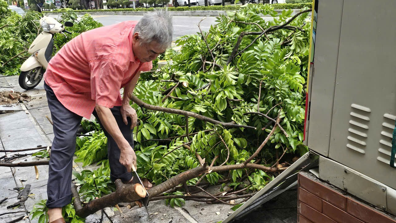 Người dân Thanh Hóa chủ động chặt, gom cành cây đổ cho Công ty môi trường thu gom, xử lý. (Ảnh: MAI LUẬN) z6945917775824-a111c53f3684edd383afc1450765362b.jpg
