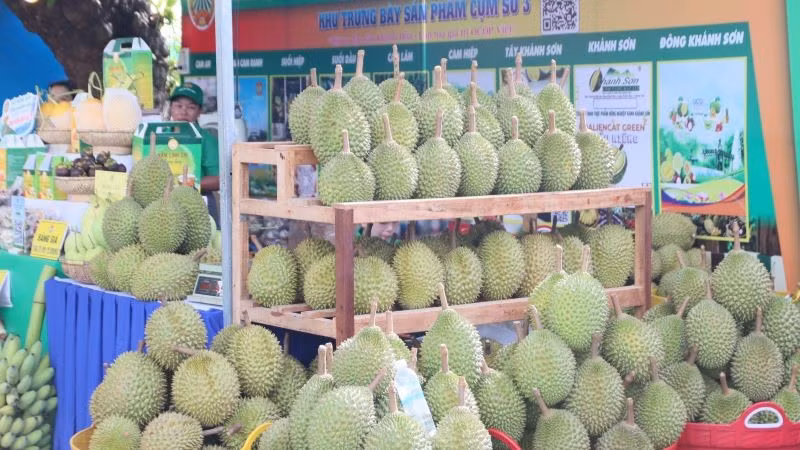 Sản phẩm sầu riêng Khánh Sơn tại "Tuần lễ Nông sản và sản phẩm OCOP tỉnh Khánh Hòa năm 2026".