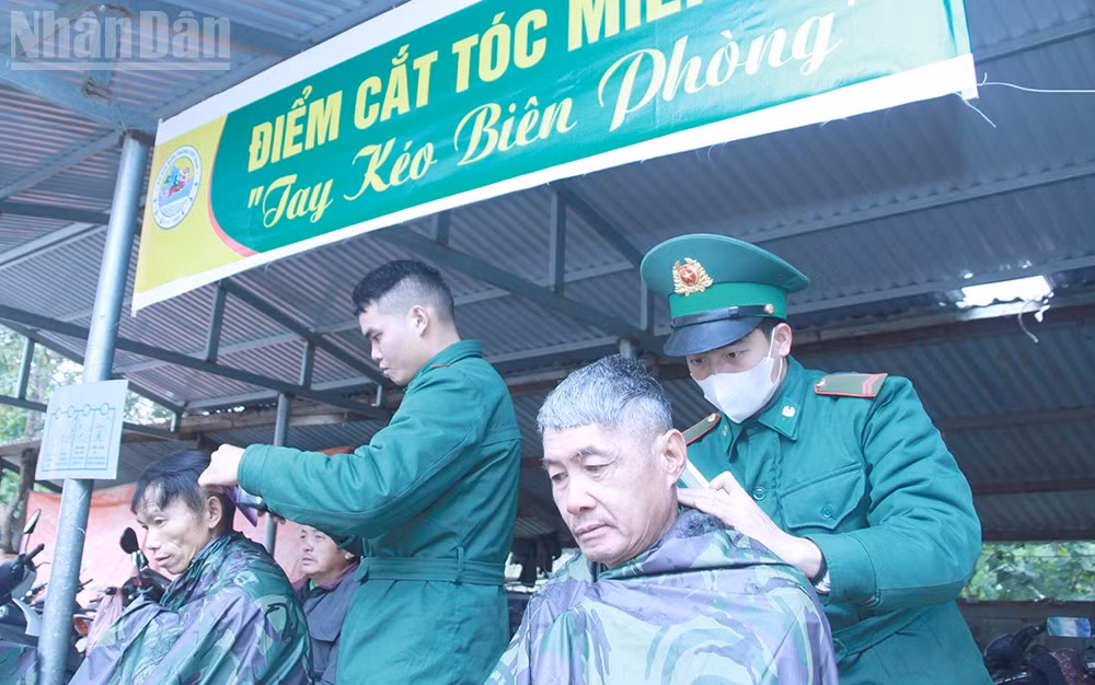 ndo_tl_11.jpg