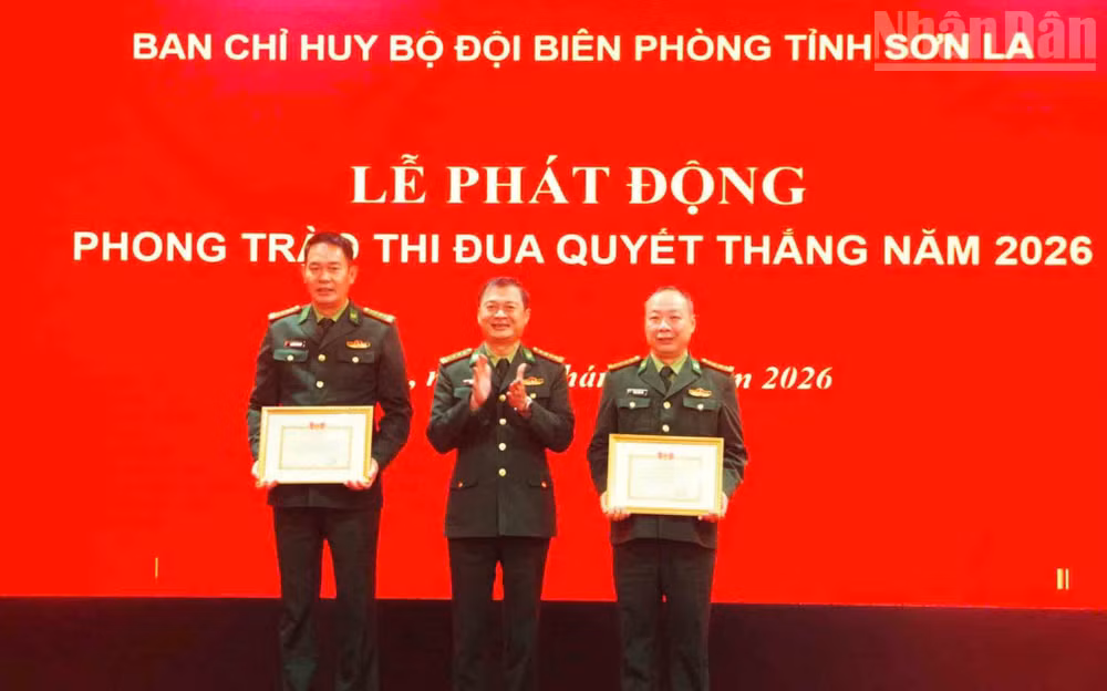 ndo_tr_4-8921.jpg