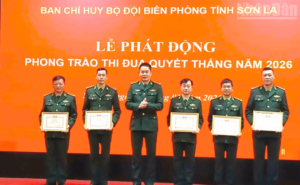ndo_tr_3-1808.jpg