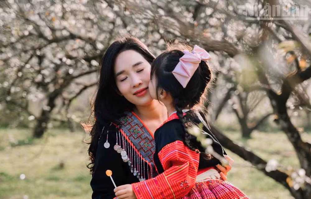 ndo_tr_12.jpg