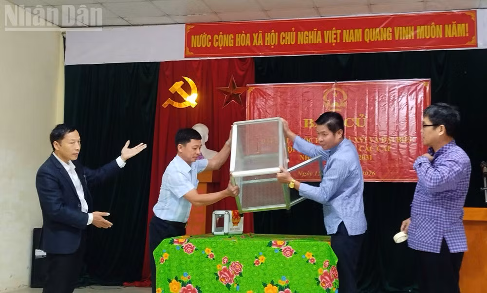 ndo_tl_2.jpg