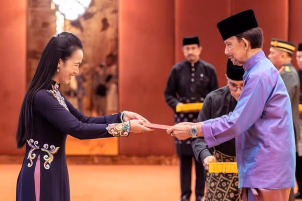 Đại sứ Đỗ Thuỳ Dương trình Quốc thư lên Quốc vương Brunei Darussalam Haji Hassanal Bolkiah. (Ảnh: Đại sứ quán Việt Nam tại Brunei cung cấp)