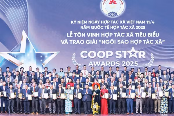 Đổi mới mô hình hợp tác xã Việt Nam: Xây dựng hệ sinh thái phong phú và vững mạnh