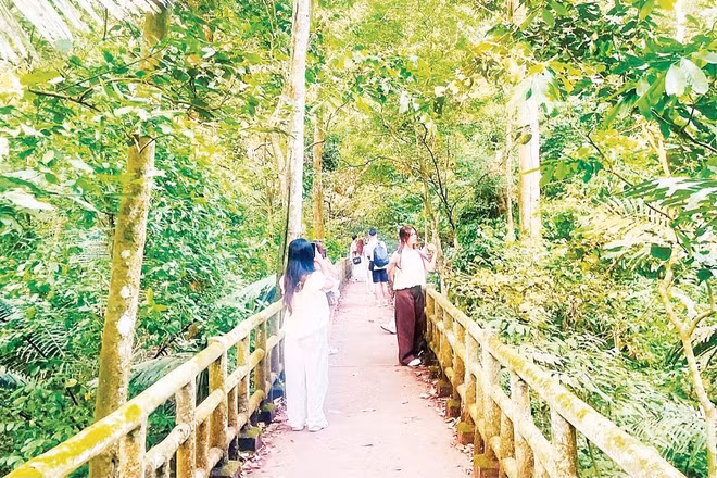 Du khách khám phá Vườn Quốc gia Cúc Phương.