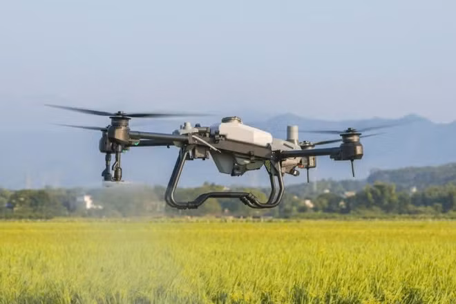 Sử dụng drone phun thuốc bảo vệ thực vật cho lúa tại Công ty cổ phần thiết bị bay AgriDrone Việt Nam. (Ảnh AgriDrone Việt Nam)