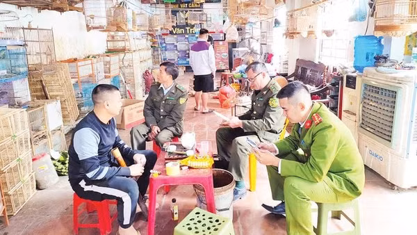 Lực lượng Kiểm lâm tỉnh Bắc Ninh kiểm tra cơ sở kinh doanh chim cảnh. 