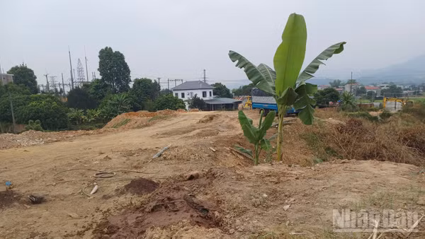 Tại khu đất ở tổ Hà Hồng, phường Thục Phán, tỉnh Cao Bằng có khối lượng lớn đất thải được đổ để san gạt mặt bằng. (Ảnh: MINH TUẤN)