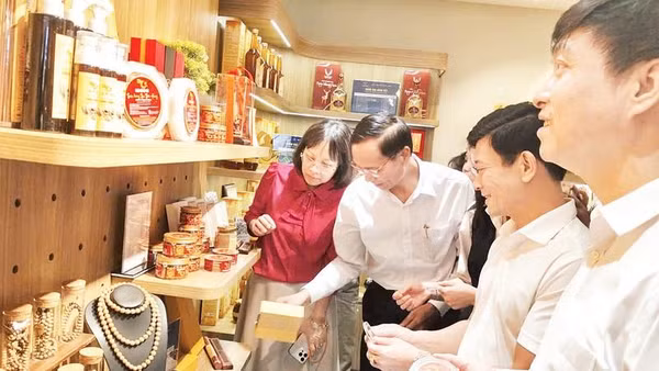 Tạo đà cho nông sản địa phương vươn xa