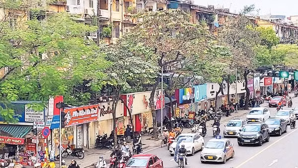 Khu tập thể Trung Tự, phường Kim Liên, Thành phố Hà Nội sẽ được cải tạo lại.