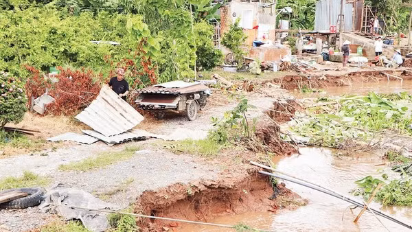 Sạt lở đất cồn bên bờ sông Hậu.