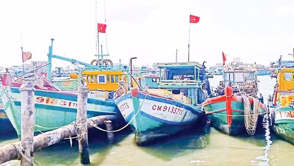 Tàu cập bến.