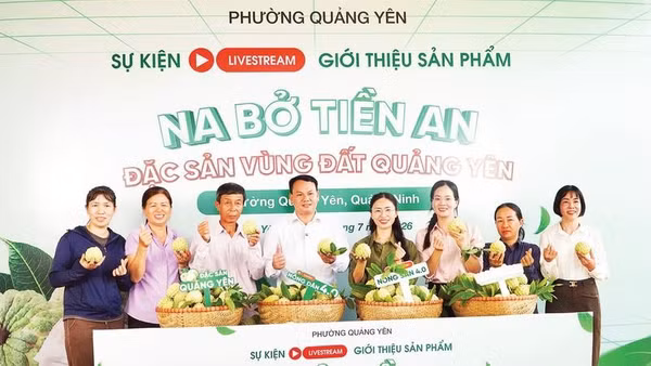 Lãnh đạo phường Quảng Yên trực tiếp tham gia phiên livestream giới thiệu sản phẩm "Na bở Tiền An", đặc sản của địa phương (Ảnh NGUYỄN QUẢNG)