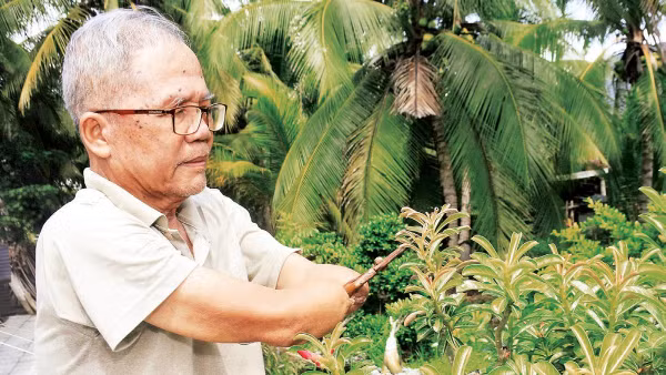 Thương binh Nguyễn Văn Hoàng vẫn tích cực lao động, sản xuất dù bị thương nặng. 