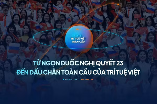Từ "ngọn đuốc" Nghị quyết 23 đến dấu chân toàn cầu của trí tuệ Việt