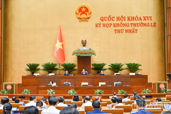 Các đại biểu thảo luận ở hội trường sáng 12/8. (Ảnh: DUY LINH)