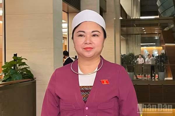 Đại biểu Đặng Bích Ngọc, Phó Trưởng Đoàn đại biểu Quốc hội tỉnh Phú Thọ.