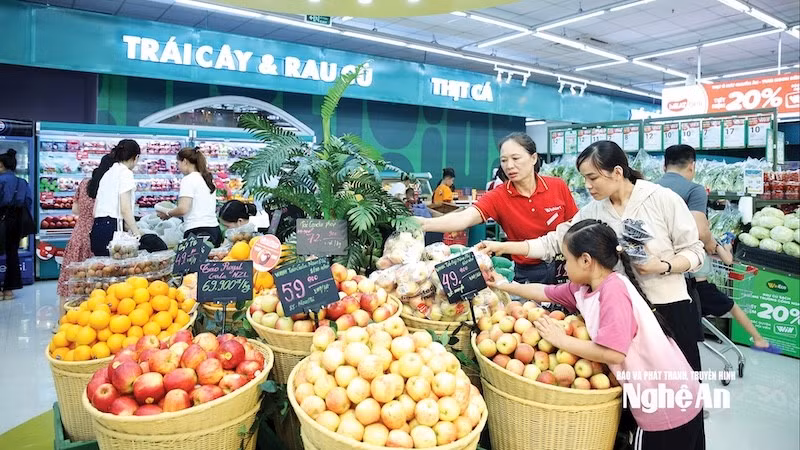 4-he-thong-sieu-thi-trung-tam-thuong-mai-tang-nhanh-ve-so-luong-va-chat-luong.jpg