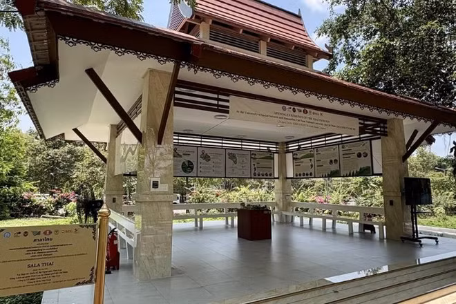 Sala Thai là điểm kết nối sinh viên với các giá trị bền vững.