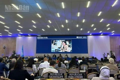 Đại sứ Nguyễn Thị Vân Anh, Trưởng Phái đoàn thường trực Việt Nam bên cạnh UNESCO, giới thiệu dự thảo Nghị quyết.