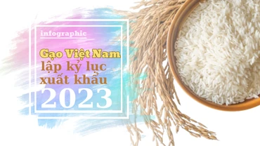 Gạo Việt Nam lập kỷ lục xuất khẩu