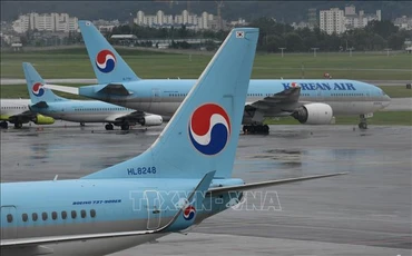 Máy bay của hãng hàng không Korean Air. Ảnh minh họa: AFP/TTXVN