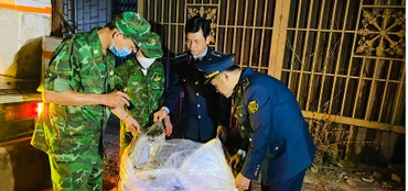 Lực lượng chức năng tỉnh Quảng Trị kịp thời ngăn chặn 1,7 tấn lòng lợn đã bốc mùi hôi thối đang trên đường tiêu thụ