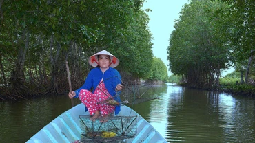 Cua Cà Mau hiện nay được nuôi nhiều trong vuông tôm dưới tán rừng ngập mặn.