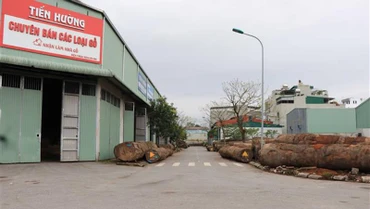Khu đất liên quan đến vụ việc sai phạm trên tại phường Đồng Nguyên, thành phố Từ Sơn, tỉnh Bắc Ninh.