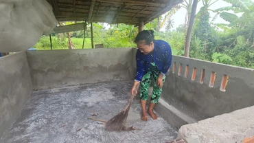 Sau khi tiêu hủy số lợn bị dịch, bà Thị Lài, ấp 7, xã Vị Tân, thành phố Vị Thanh vệ sinh chuồng chờ tái đàn.