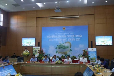 Hội nghị xúc tiến tiêu thụ quả nhãn và các sản phẩm chế biến từ quả nhãn sang thị trường Nhật Bản.
