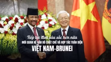 Tiếp tục làm sâu sắc hơn nữa mối quan hệ gắn bó chặt chẽ và hợp tác toàn diện Việt Nam-Brunei