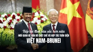 Tiếp tục làm sâu sắc hơn nữa mối quan hệ gắn bó chặt chẽ và hợp tác toàn diện Việt Nam-Brunei