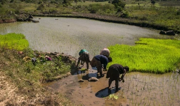 Người dân làm việc dưới trời nắng nóng tại làng Tolagnaro, Madagascar. (Ảnh: AFP/TTXVN)