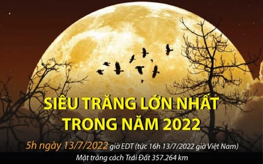 Ảnh minh họa. (Nguồn: TTXVN)