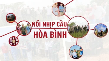 Nối nhịp cầu hòa bình