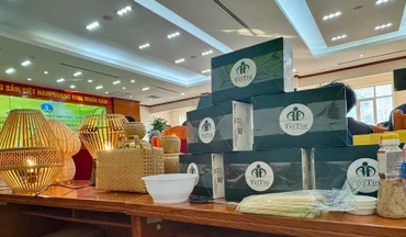 Các sản phẩm OCOP đang dần được khách hàng ưa chuộng sử dụng.