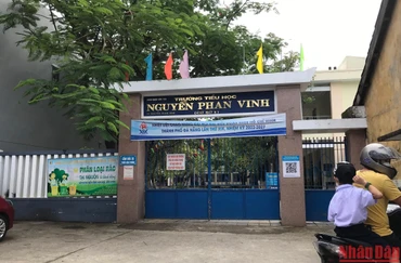 Chính quyền địa phương yêu cầu Ban Giám hiệu Trường tiểu học Nguyễn Phan Vinh kiểm điểm sâu sắc việc quản lý giáo viên, học sinh.