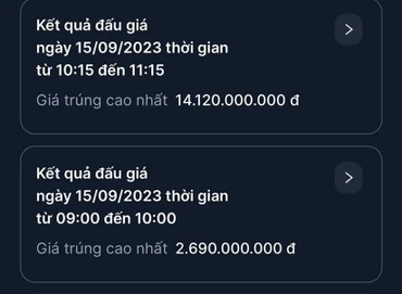 2 biển số đẹp được đấu giá thành công trong phiên sáng nay. (Ảnh: TTXVN)