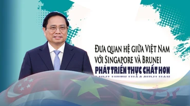 Đưa quan hệ giữa Việt Nam với Singapore và Brunei phát triển thực chất hơn