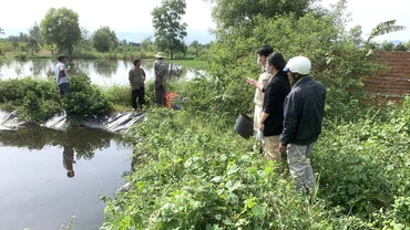 Đoàn kiểm tra tiến hành kiểm tra các hồ chứa nước thải của trang trại chăn nuôi.