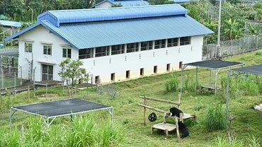 Ngôi nhà của những chú gấu hạnh phúc.