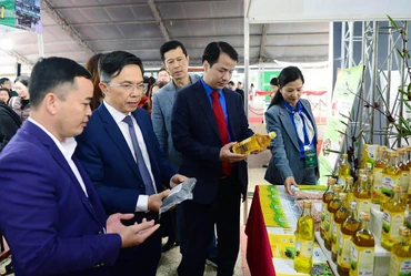 Đại biểu tham quan các gian hàng tham gia Hội chợ thương mại Festival hoa Đà Lạt và nông sản thanh niên toàn quốc.