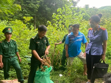 Cơ quan chức năng kiểm tra tang vật trước khi tiêu hủy.