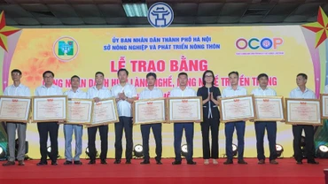 Lãnh đạo Sở Nông nghiệp và Phát triển nông thôn Hà Nội trao bằng công nhận làng nghề, làng nghề truyền thống.